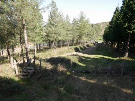 La Porqueriza lepotik Guineara igotzen den bidea