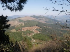 Garbea Kolitzara igotzen den bidetik ikusita