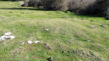 Ollideko Bizkarra 2 etxola hondoa, Urbasa