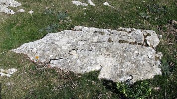 Ollideko Bizkar zutarria, Urbasa