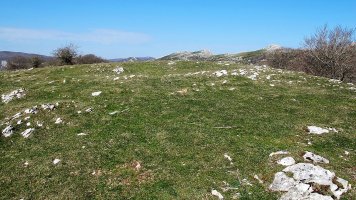 Ollideko Bizkarra eraztun tumulua, Urbasa