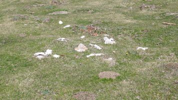 Ollideko Bidea tumulua, Urbasa