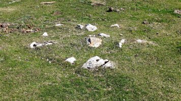 Ollideko Bidea tumulua, Urbasa