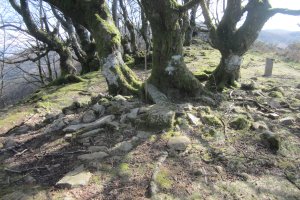 Cista Atxolin Txiki II Oeste  (D. Atxolin Txiki I detrás.  Marzo 2019)