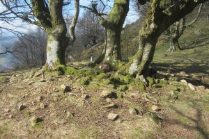 Cista Atxolin Txiki II Oeste  (Marzo 2019)