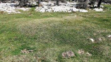 Ollide 3 este etxola hondoa, Urbasa