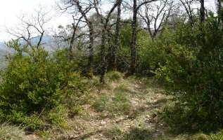 Urdazkaingo gailurra