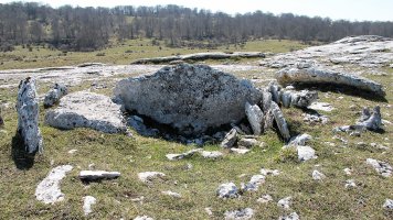 Etxarriko Portugañe 1 mendebal trikuharria, Urbasa