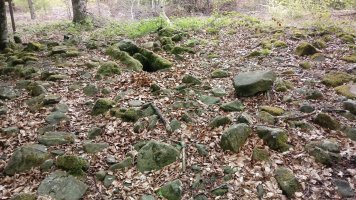 Maitzegur trikuharria