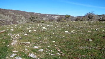 Osagarate eraztun tumulua, Urbasa