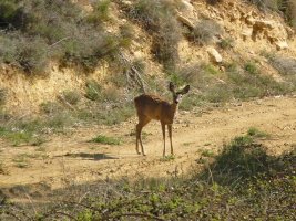 Orkatza, Sandagatako bideetan