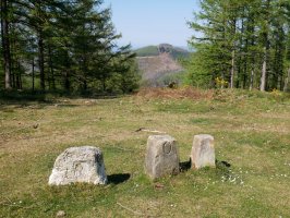 Hiru mugarri bide bazterrean