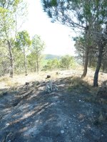 Ventura gaineko gailurra