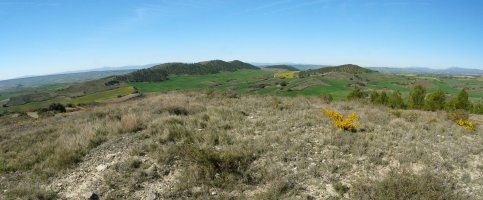 San Lorenteko galiurra