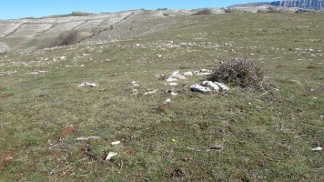 Otsagarate 5 tumulua, Urbasa