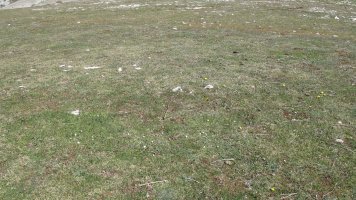 Otsagarate 2 tumulua, Urbasa