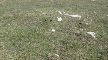 Otsagarate 1 tumulua, Urbasa