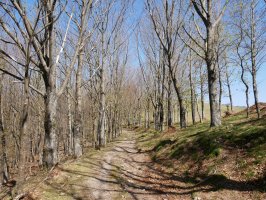 Trenbide zaharraren arrastoan Arritxurieta aldean