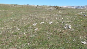 Errebeltz 2 norte tumulua, Urbasa