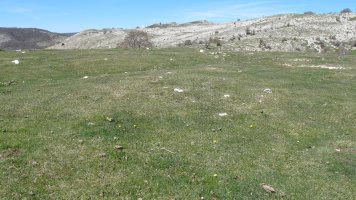 Gaztansoro 1 este tumulua, Urbasa