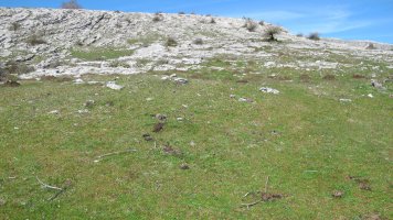 Gaztansoro 3 etxola hondoa, Urbasa