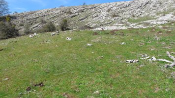 Gaztansoro 3 etxola hondoa, Urbasa