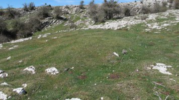 Gaztansoro 4 etxola hondoa, Urbasa