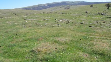 Gaztansoro 4 etxola hondoa, Urbasa