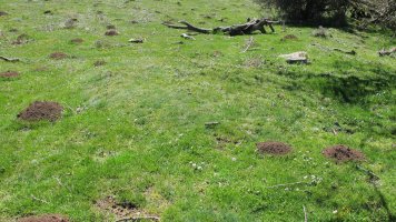 Gaztansoro 2 etxola hondoa, Urbasa