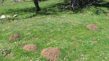 Gaztansoro 2 etxola hondoa, Urbasa