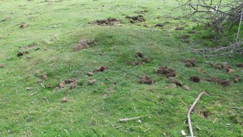 Zalbide 122 tumulua, Urbasa