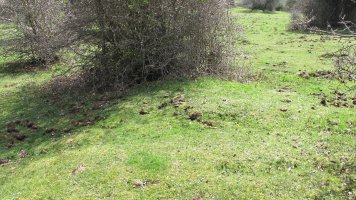 Zalbide 150 tumulua, Urbasa