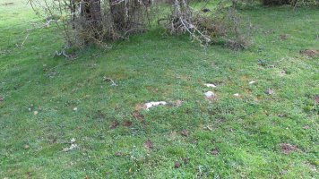 Zalbide 151 tumulua, Urbasa