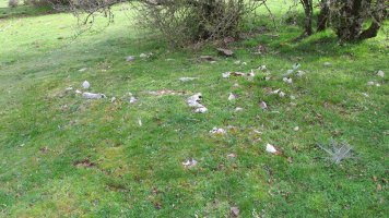 Zalbide 152 tumulua, Urbasa