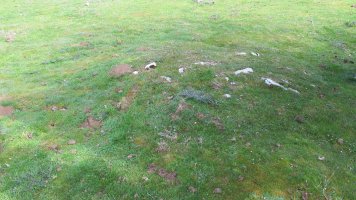 Zalbide 154 tumulua, Urbasa