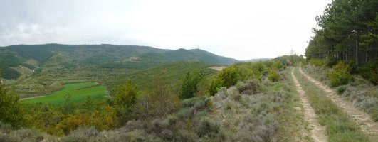 Txaparralgo gainaldea