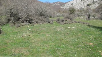 Zalbide 2 norte eraztun tumulua, Urbasa