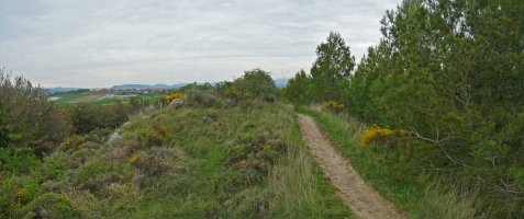 Bizkarrean gora doan bidea