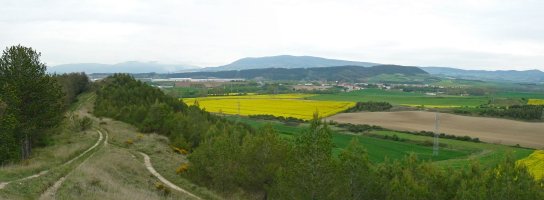 Ikuspegiak gandorretik