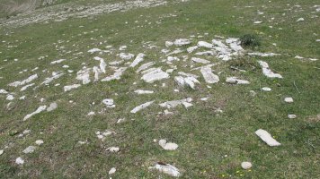 Gaztansoro 2 oeste tumulua, Urbasa