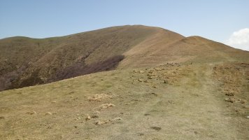 Saioa (1418) Okolingo lepotik