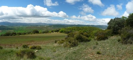 Raso de la Matako gainaldea