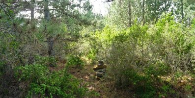 Burdisibarko gailurra