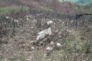 Dólmen Xarita II (Abril  2019)