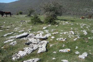 Túmulo Anular Osagarate (Abril 2019)