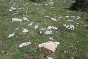 Túmulo Otsagarate 14 (Abril 2019)