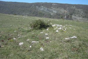 Túmulo Otsagarate 5 (Abril 2019)