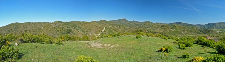 Picalvo mendiko gailurra