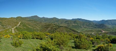 Zaraitzu ibarra, Picalvotik