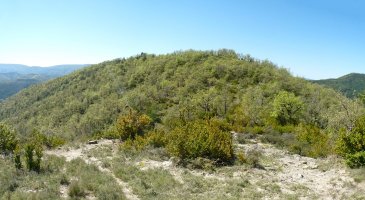 Paco Mayor, iparraldeko lepotik